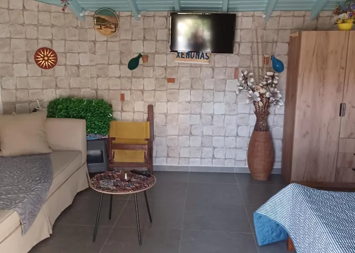 Fani Liakou Néa Fókaia