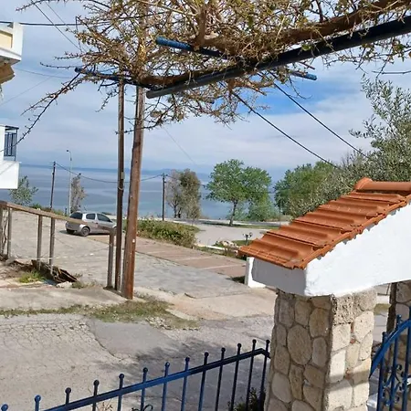Fani Liakou *
